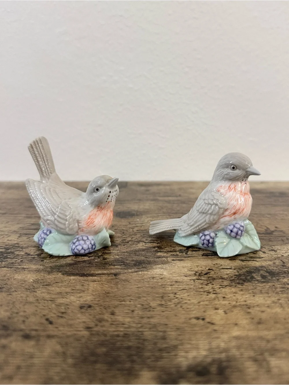 Vintage Bird Salt & Pepper Shakers | Porcelain Floral Berry